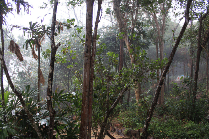 3707C2A6-EFDA-4C60-B0B8-0D2D5FAED8E2