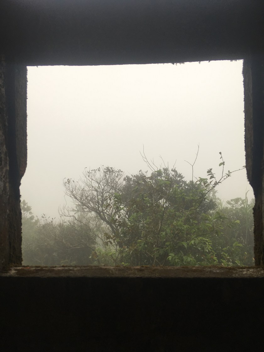 64A01729-BA6F-4DFE-99F0-CE5E350B2B1E