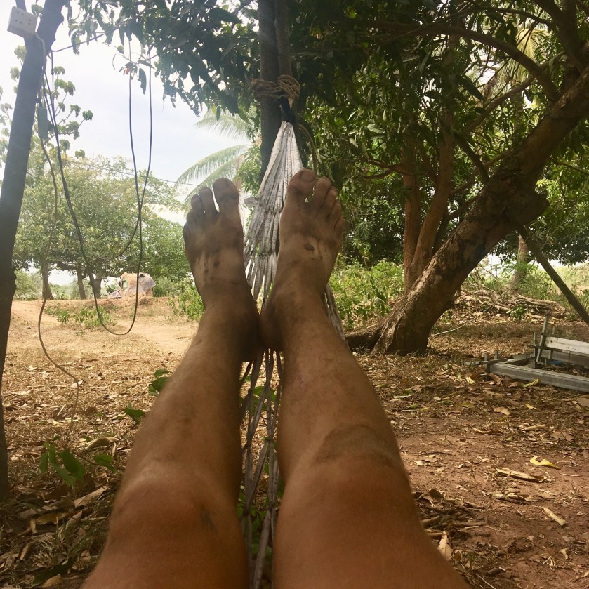 7D3CF9A3-5065-417D-B390-AC6FBE980BFC